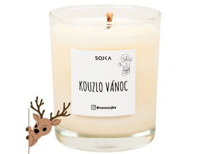Sojka sójová svíčka - Kouzlo Vánoc, 140g